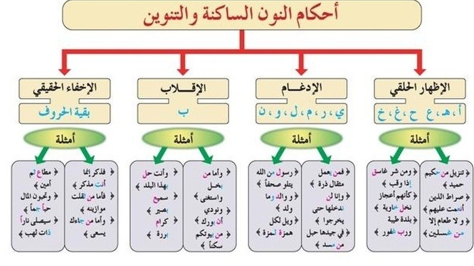 أحكام النون الساكنة والتنوين.. أمانة ضبط النطق القرآني