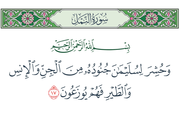«وحُشر لسليمان جنوده»..